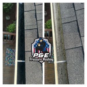 Goldsboro Gutter Cleaning Service