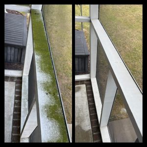 House wash algea removal