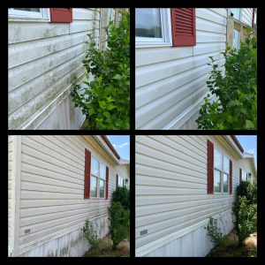 More house wash photos from House wash algea removal NC
