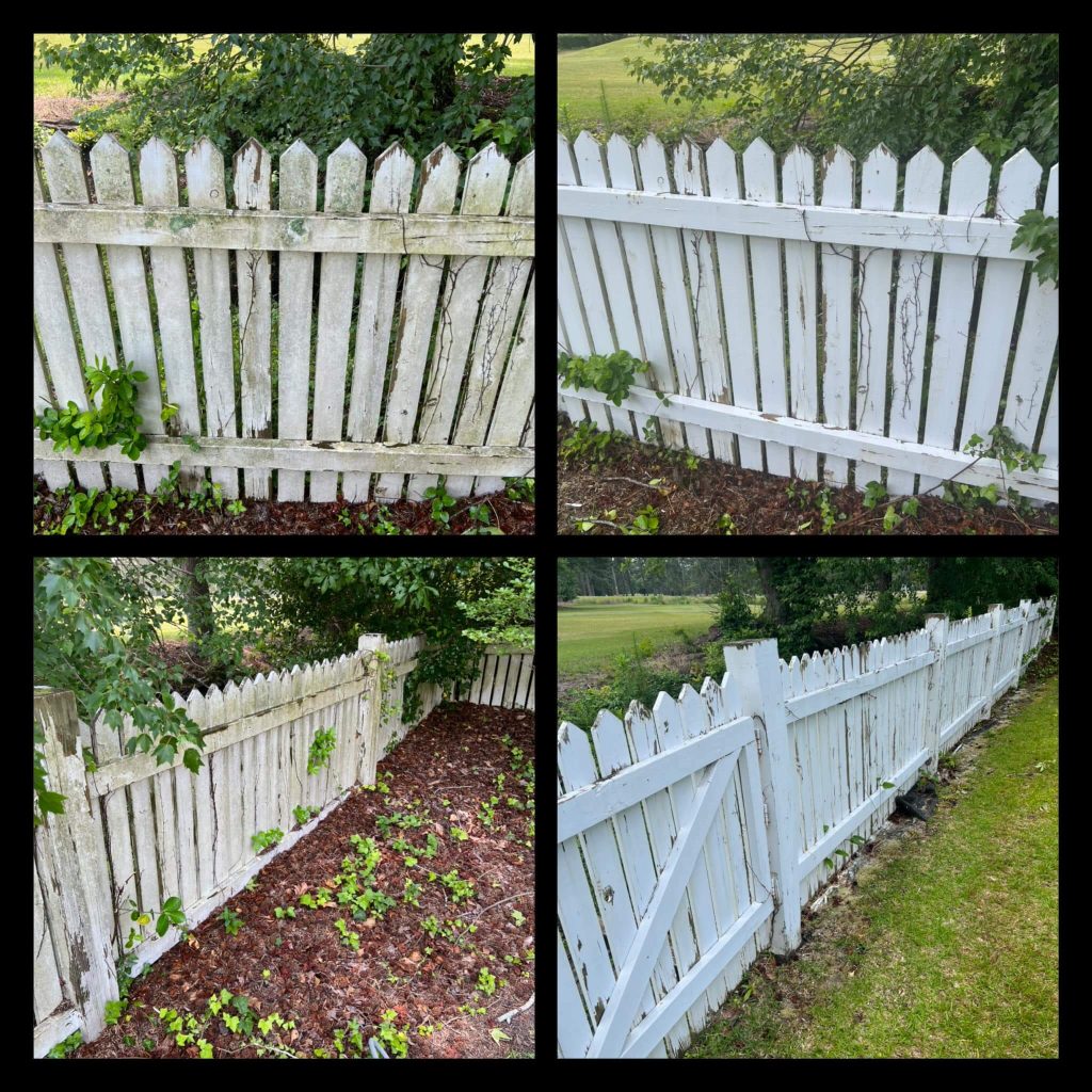 Deck and Fence cleaning Goldsboro NC