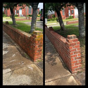 353008034_576553771262061_3052447387817733138_n