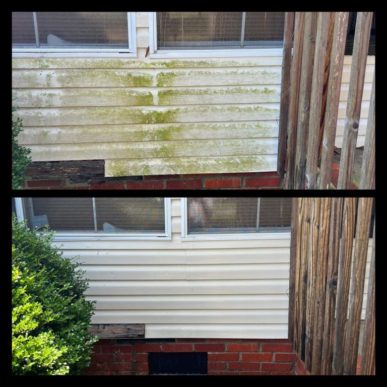 Algea removal with soft washing house