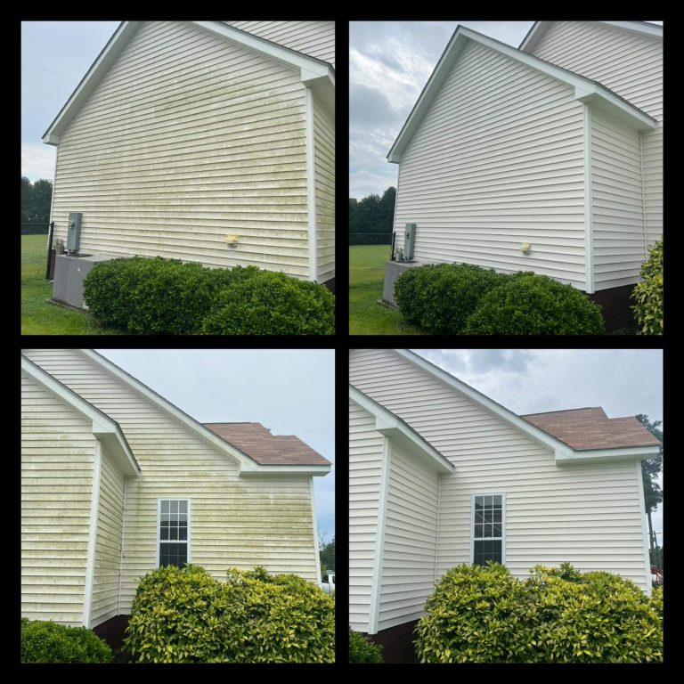 house wash mold removed with algea via soft washing in Goldsboro NC