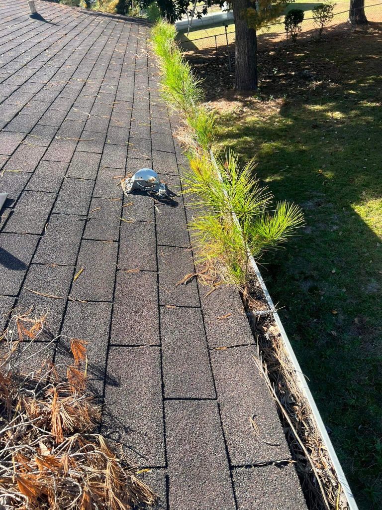 Gutters full of debris