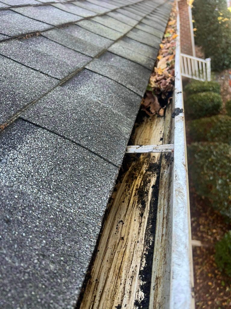 After a thorough cleaning of the gutters in Goldsboro.